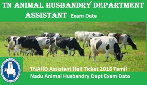TNAHD Assistant Hall Ticket 2022 Interview Date TN Animal Husbandry