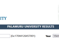 Palamuru University Degree 3rd & 5th Sem Results 2023 Manabadi PU UG Result @www.palamuruuniversity.com